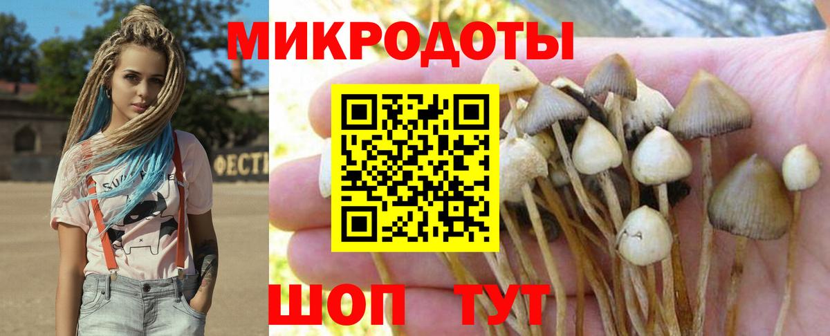 Ейск  где продают   Вход с VPN  Галлюциногенные грибы прущие грибы 